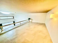 ※撮影用の観察植物・食器調理器具・雑貨類等はございません。※写真は現況優先