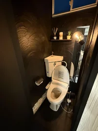 温水洗浄便座