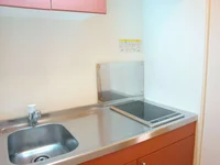 2口ラジエントヒーター付き。