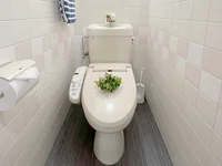 ウォシュレット付きとなっています。