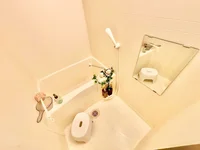 ※撮影用の観察植物・食器調理器具・雑貨類等はございません。※写真は現況優先