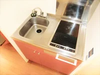 同タイプ物件の為、形状や間取寸法、色調等が実際とは異なります