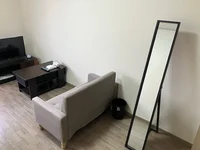 TV、ローテーブル、ソファー、姿見があります。