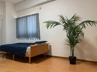 ベッドはシングルサイズとなっています。