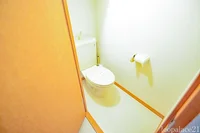 同タイプの写真です。