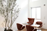 おしゃれな家具で統一されたリビング