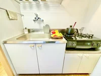 ※撮影用の観察植物・食器調理器具・雑貨類等はございません。※写真は現況優先