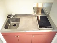 2口ラジエントヒーター付き。1LDKは3口ガスコンロ。