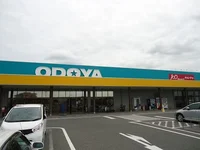 おどや羽鳥野店まで400m