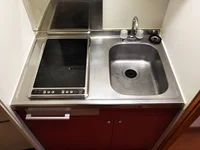 同タイプの写真です。