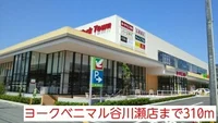 ヨークベニマル谷川瀬店まで310m