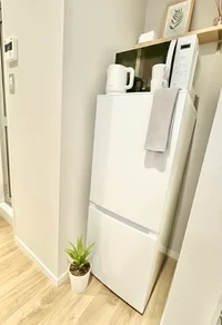 ※撮影用の観葉植物・雑貨類等はございません。※写真は現状優先