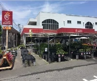 ジュンテンドーまで750m