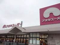 アオキスーパー大府店まで1200m