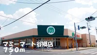 マミーマート谷郷店まで750m