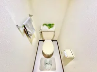 ※撮影用の観察植物・食器調理器具・雑貨類等はございません。※写真は現況優先