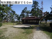 海浜運動公園まで50m