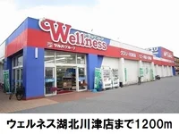 ウェルネス湖北川津店まで1200m