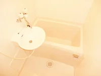 同タイプ物件の為、形状や間取寸法、色調等が実際とは異なります