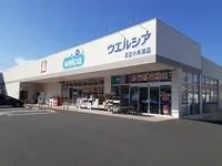 ウエルシア日立小木津店まで1200m