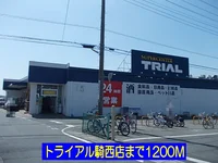 トライアル騎西店まで1200m