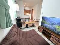43型テレビ