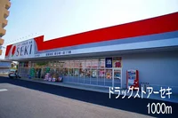 ドラッグストアーセキまで1000m