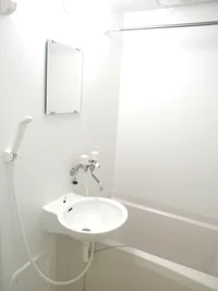 鏡・洗面台付き。