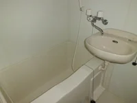 洗面ボウル付きバスルーム。