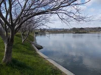 服部大池公園まで500m