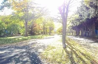 屯田西公園まで200m