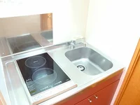 2口ラジエントヒーター付き。