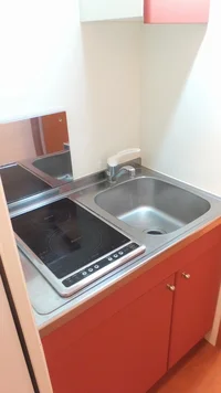 ２口ラジエントヒーター