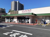 カスミフードスクエア日立神峰店まで200m