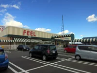 フィール 岡崎大和店まで250m