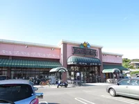 ニシナフードバスケット羽島店まで100m