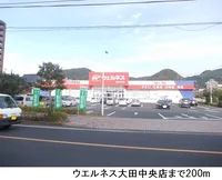 ウェルネス大田中央店まで200m