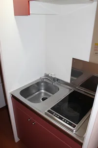 ２口のラジエントヒーター