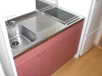 2口ラジエントヒーター