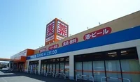 ドラッグ新生堂まで1100m
