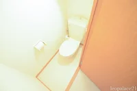 同タイプの写真です。