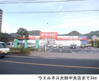 ウエルネス大田中央店まで3000m