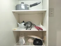 食器・調理器具