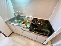 ※撮影用の観察植物・食器調理器具・雑貨類等はございません。※写真は現況優先