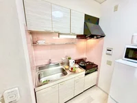 ※撮影用の観察植物・食器調理器具・雑貨類等はございません。※写真は現況優先