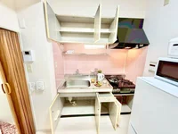 ※撮影用の観察植物・食器調理器具・雑貨類等はございません。※写真は現況優先