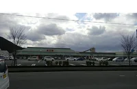 フジ宿毛店まで600m