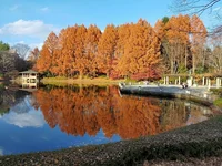 中央公園まで700m