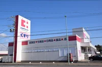 ココカラファイン寺本店まで1000m
