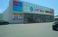 スギ薬局竹谷店様まで600m